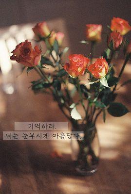 150103 기다릴께 보러갈께