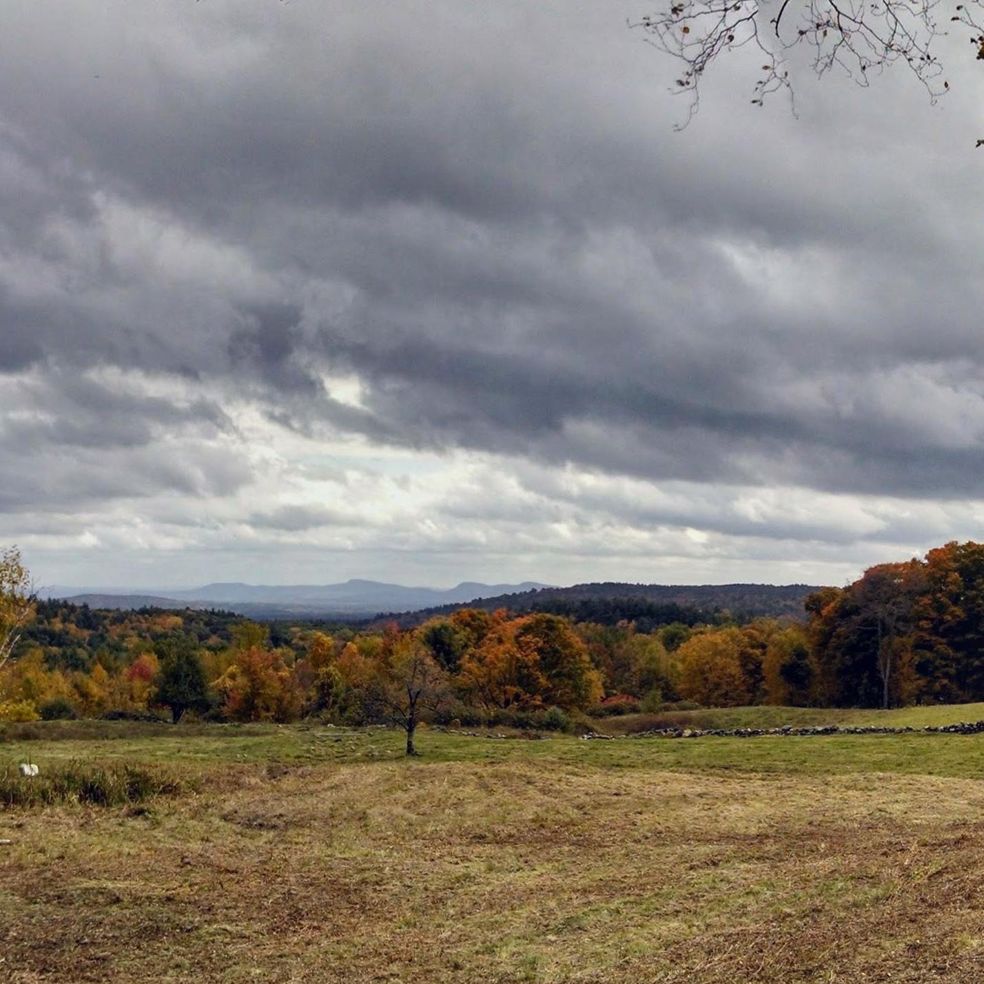 SC_MacLeish_FS's profile picture. 