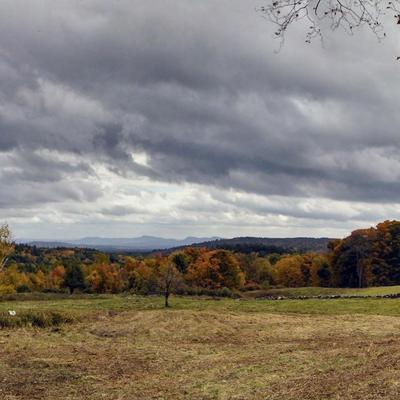 SC_MacLeish_FS's profile image