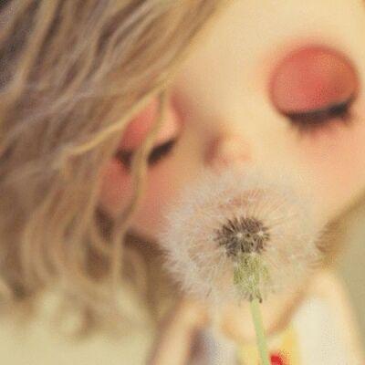 NO MUSIC   NO LIFE