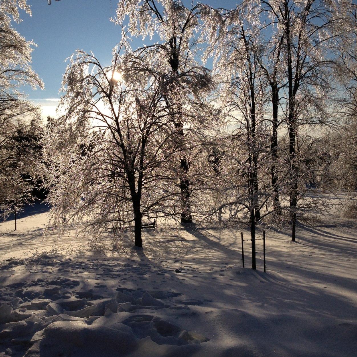 gcnewhouse's profile picture. 