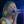 Gill Cook (@GilljazzCook) profile picture