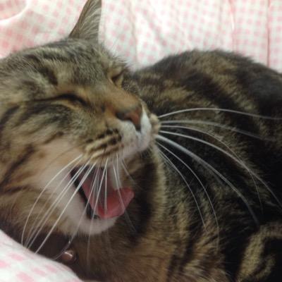 0401Act5's profile picture. 