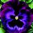 TKnightM's profile image