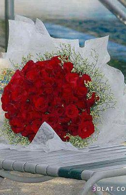 Ya Rab