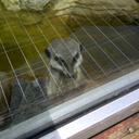 Aaron Singleton - @Enzio1055 - Twitter