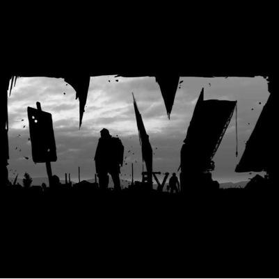 Hero Group on DayZ Standalone - Tweet me if you're dedicated and you want to help each other make Epic, Funny and Intense YouTube content!