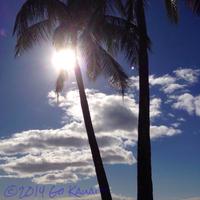 Go Kauai (@go_kauai) 's Twitter Profile