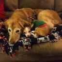 Luna Perry - @tedwilliams25 - Twitter