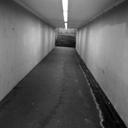 Ella Pearce - @ella_pearce - Twitter