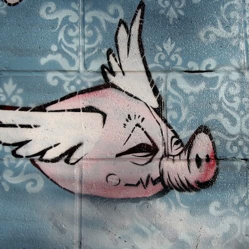 bevinreith's profile picture. 