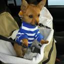 Amber Crowder - @acsunflower01 - Twitter