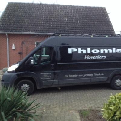 phlomisdidam's profile picture. 