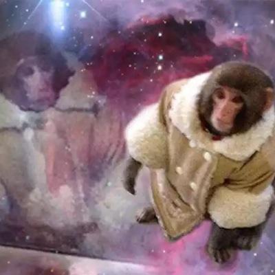 E_Mc_G89's profile picture. Supernova Sloth :: 🎸 @con_bystanders :: IV :: ¯\_(ツ)_/¯