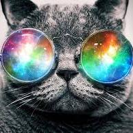 mallkidz's profile picture. asap kids, piedmont kids, deer creek kids, ALL edmond schools, and Krys