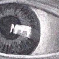 Mohammed (@m0h) 's Twitter Profile