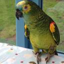 Steve Bryan - @stevebbryan - Twitter