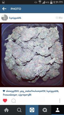 blowing LOUD PACK EVERY DAY