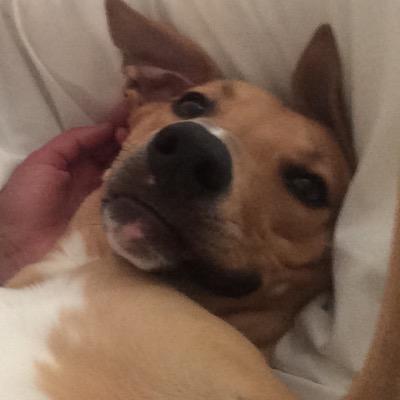 emilymulholl's profile picture. 