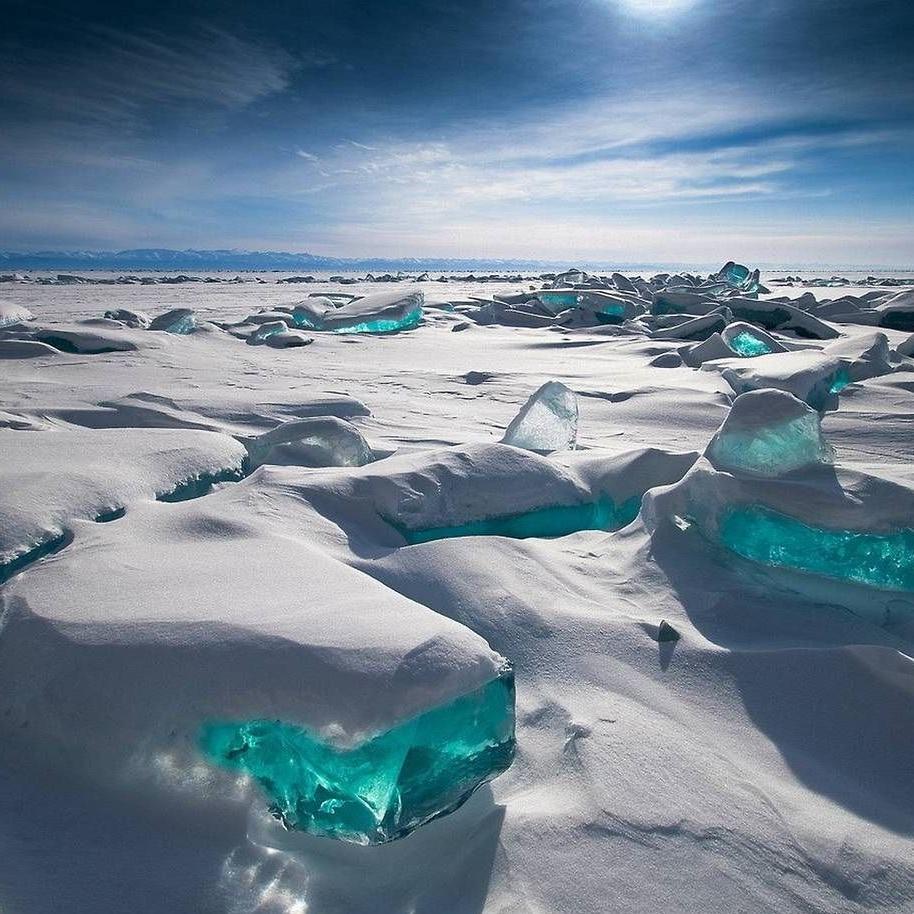 TENSHOKU_'s profile picture. 希望が湧き、より良い未来に繋がりワクワクするような情報を中心にシェアしてます。主なテーマは、環境、健康、経済、麻、動物、テクノロジー、平和などです。