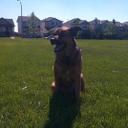 Jacob Lippert - @SVJACOB13 - Twitter