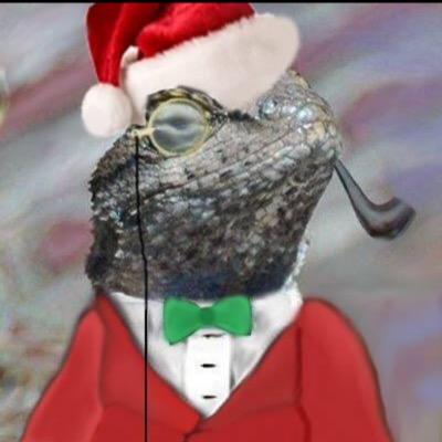The Lizards are back, Watch out