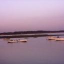 Bella Ponce Morgado - @MorgadoPonce - Twitter