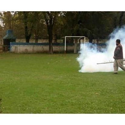 fumecofumeco's profile picture. 