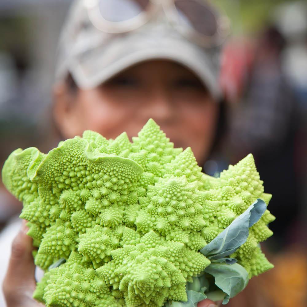 eatlocalfoods's profile picture. We help to discover & connect you to your #localfood communities by spotlighting the creators/owners of the best foods, produce & artisan goods available to you