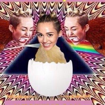 free follow from @pastelpocky dont you dare follow you cute lard