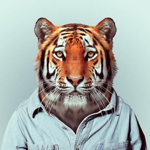 El sentido de la vida es el que tú le das.
Estar vivo es el sentido.
J. Campbell