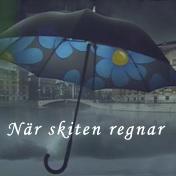 Sverigedemonstr's profile image