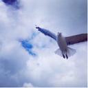 Tracy Phan - @tracyphan273 - Twitter