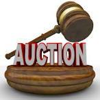 Auctioneers, Appraisers, Liquidators, Estate Sevices, Ottawas #1 #Auction /Consignment  #EndlessYardSale Showdown appraiser Diana Fuller