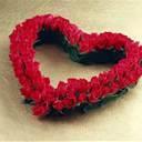 LuzdelunaV's profile picture. 