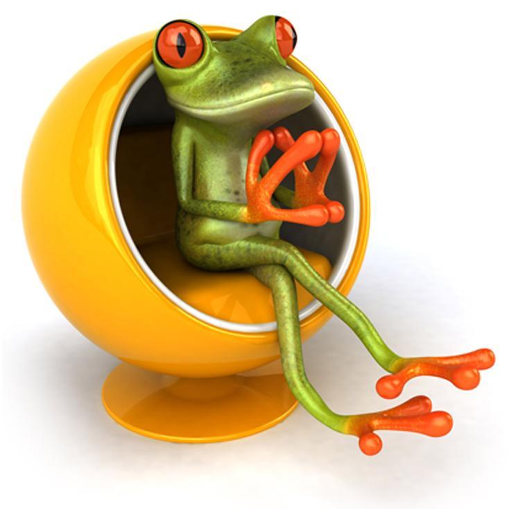 WebilityDesign's profile picture. With over 20 years of professional experience in the web design industry, Webility will create a successful web site for your company