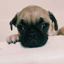 Katlyn Rose Colbert - @ColbertRose - Twitter