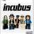 incufan99's profile image