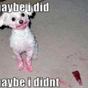 Peter-Gay Wright - @PeterGayWright1 - Twitter