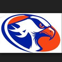 Armstrong River Hawks (@ahsriverhawks) 's Twitter Profile