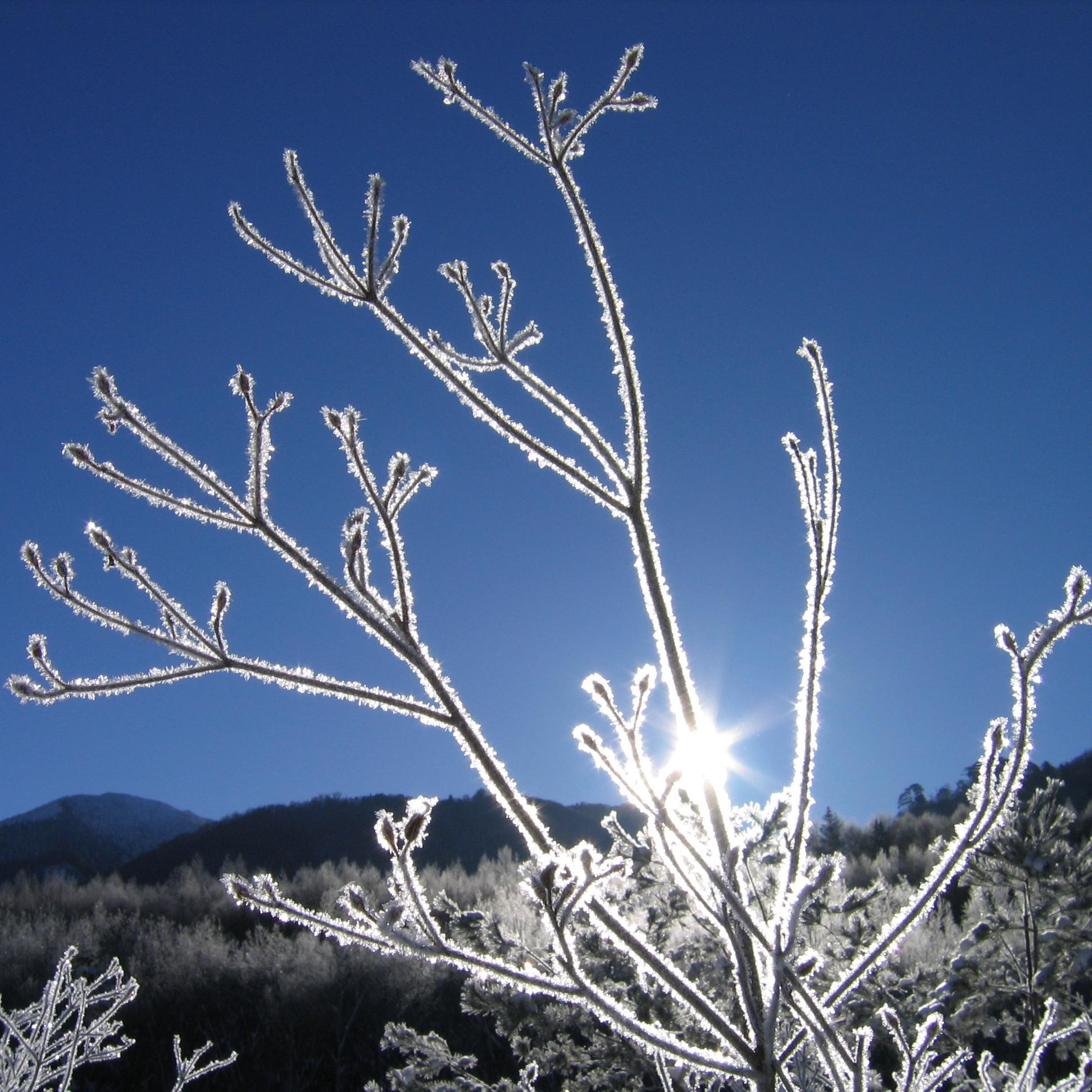 blackriver58's profile picture. 海外旅行/アウトドア/ハイキング/渓流釣り/写真/絵画鑑賞/音楽鑑賞