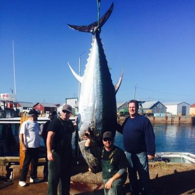 Fishermen, North Lake, PEI. Canada. Lobster, Herring, mackeral and Bluefin Tuna !