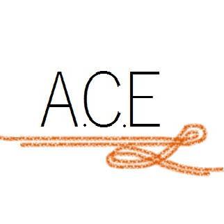 A.C.E - Brand, Idea. Empower your appearence, your ambition, yourself. Never let your clothes wear you.