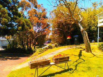 NevaGivingUp13's profile picture. 