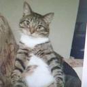 Travis Busch - @205c4d72b9094ae - Twitter