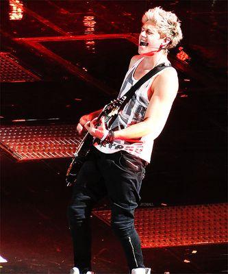 i happen to be married to niall horan