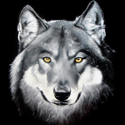 mcloven602's profile picture. 