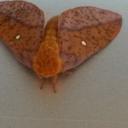 Jerome Stanford - @jerquezstanford - Twitter