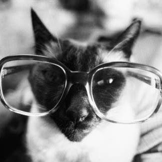文系のメガネねこ。僕にとってココは『王様の耳はロバの耳』に出てくる井戸の様。