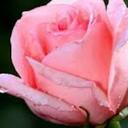 هـــدى (@22_hhsl) Twitter